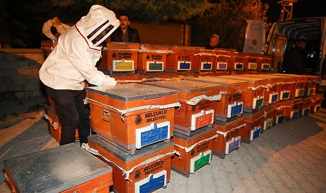 Selçuklu Belediyesi'nden 4. Kez Arılı Kovan Desteği: 93 Üreticiye 465 Kovan Dağıtıldı