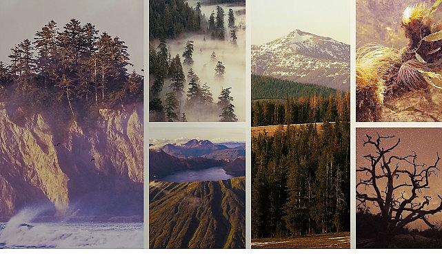 National Geographic WILD'da Yeni Belgesel: 'Ulusal Parklar: Amerika Özel' 3 Mayıs'ta Yayında