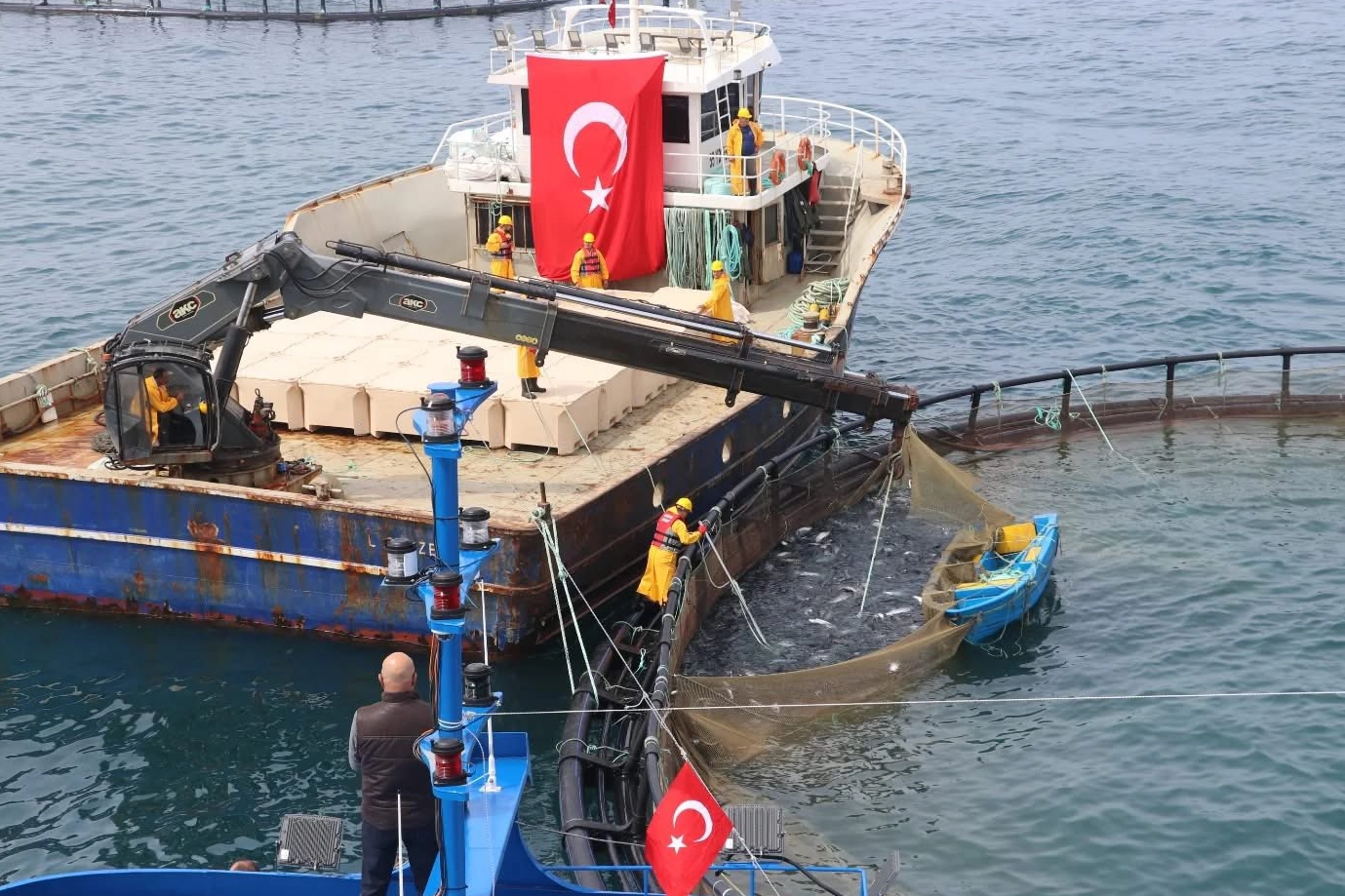Türkiye'de Su Ürünleri Üretiminde Yetiştiricilik Zirveye Yerleşti: Yüzde 60 Pay