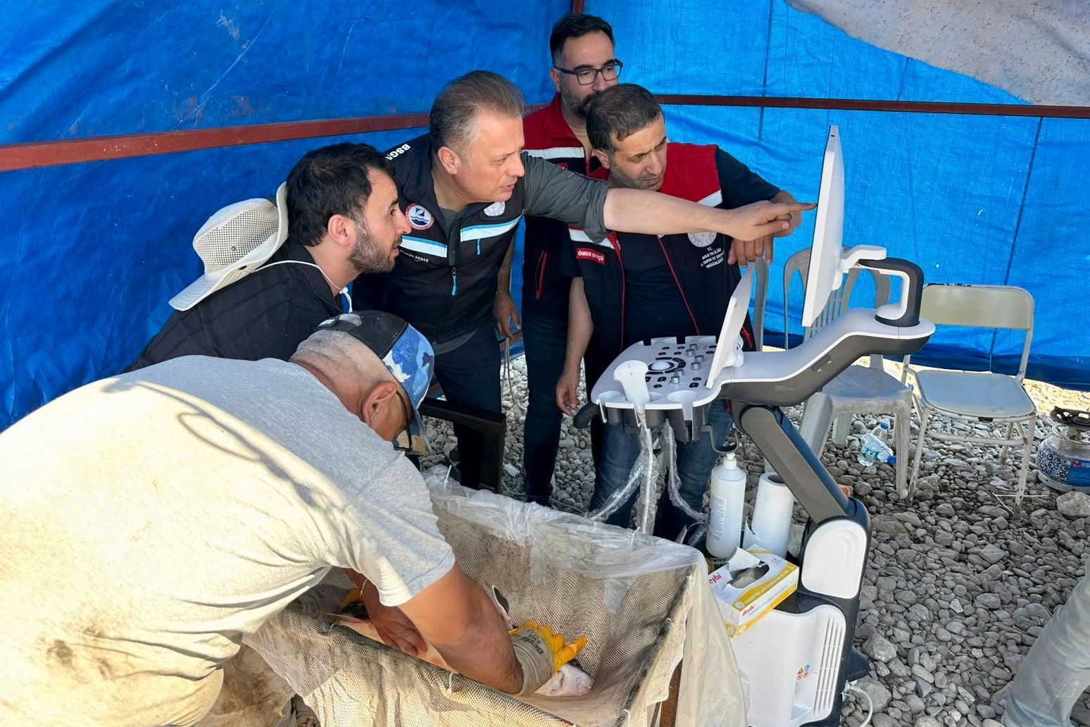 Mersin Balığı Yetiştiriciliğinde Devrim: Ultrasonografi ile Erken Cinsiyet Tespiti Eğitimi Uşak’ta Gerçekleşti