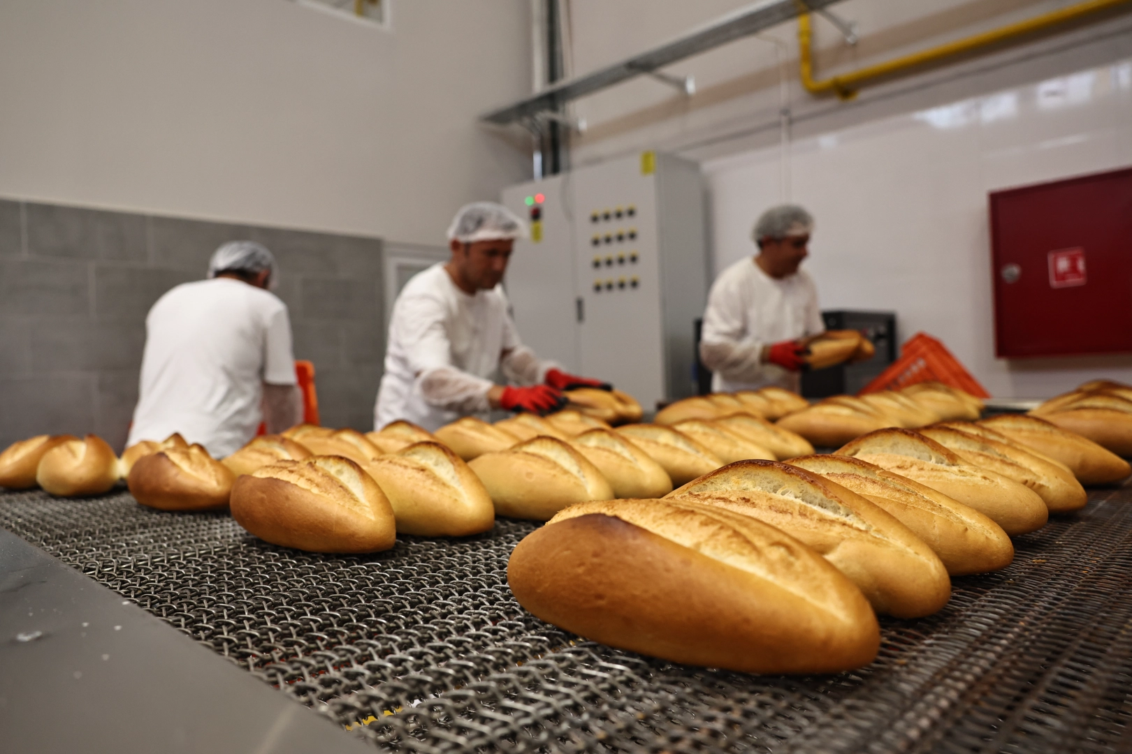 EKDAĞ Halk Ekmek 4 yılda 30 milyon ekmek üretti: 25 çeşit ürün
