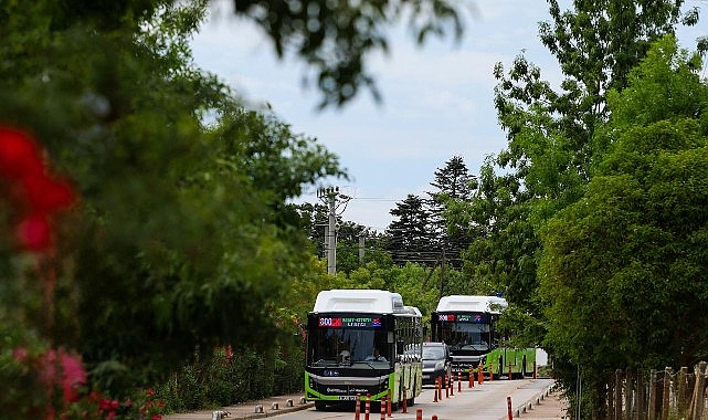 Kocaeli'de 800CK Hattı 20 Haziran'da Seferlere Başlıyor: Kandıra Sahillerine 24 Sefer