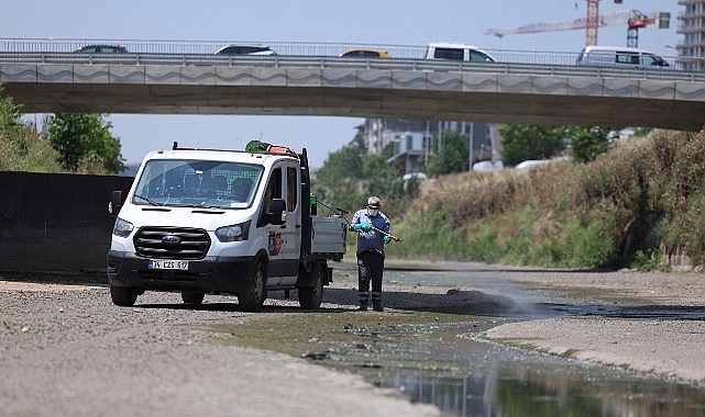 Bakırköy'de Sivrisinek Mücadelesi: 260 Bin Üreme Kaynağı Denetleniyor