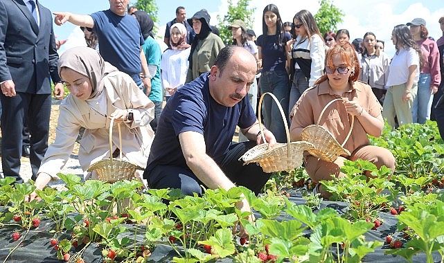 Konya'da Çiftçiye Müjde: 2027 Tarımsal Destek Başvuruları 1 Temmuz'da Başlıyor