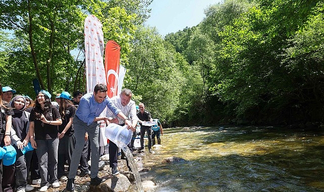 Kocaeli'de Doğaya Dönüş: 50 Bin Yavru Alabalık Kiraz Dere'ye Bırakıldı
