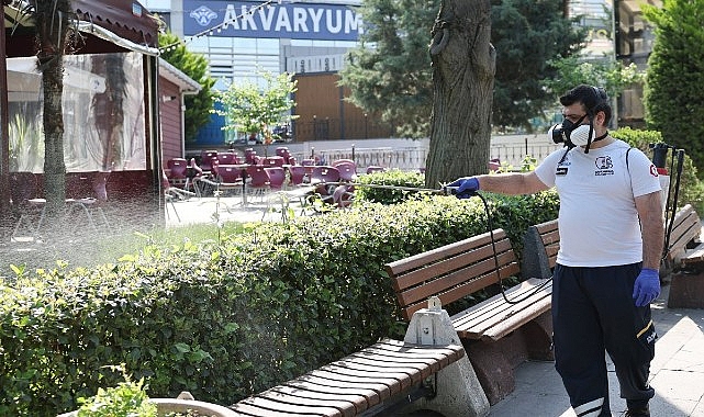 Bayrampaşa'da Sinek ve Haşereyle Mücadele: Eylül'e Kadar Sürecek İlaçlama Seferberliği