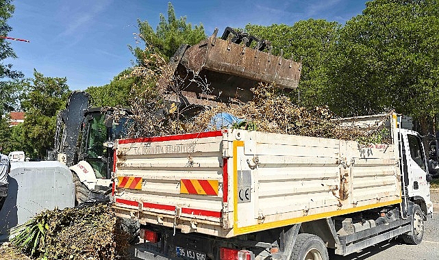 Bornova'da Yaz Öncesi Kapsamlı Temizlik: Yangın Riskine Karşı Seferberlik
