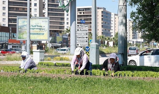 Osmangazi'de 260 Bin 750 Yazlık Çiçekle Görsel Şölen
