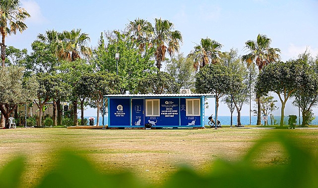 Antalya'da sahipsiz kedilere mobil kısırlaştırma: Günde 25 kedi hedefi