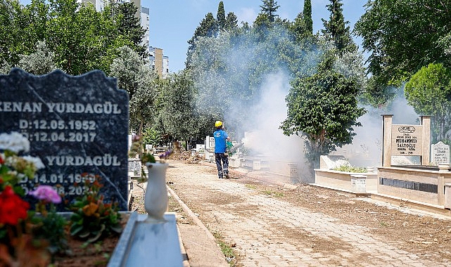Antalya'da toplu kullanım alanlarına yoğun ilaçlama: Cami, park ve mezarlıklar hedefte