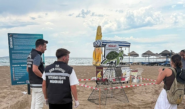 Didim’de Caretta Caretta Çakal Saldırısından Belediye Ekiplerinin Anında Müdahalesiyle Kurtuldu