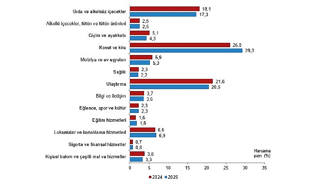 Türkiye'de Hanehalkı Harcamalarında Konut ve Kira Zirvede: 2025 Verileri