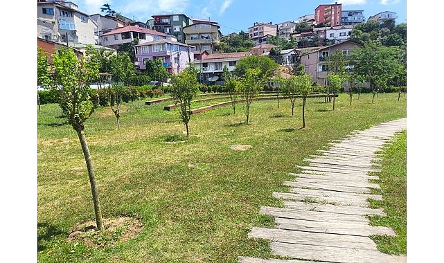İstanbul'un Parkları Artık Meyve Bahçesi Oluyor: İBB'den 10 Farklı Türde Ağaç Dikimi