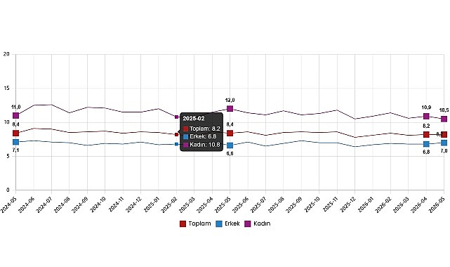 Mayıs 2026'da İşsizlik Oranı %8,2'de Sabit Kaldı, İstihdam 285 Bin Kişi Arttı