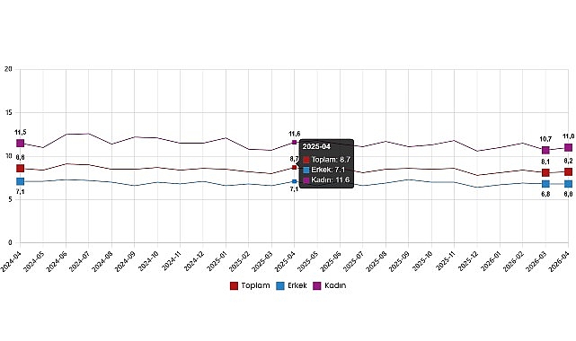 Nisan 2026'da İşsizlik Oranı %8,2'ye Yükseldi: İstihdam 356 Bin Kişi Azaldı