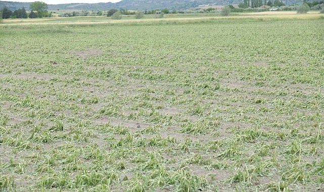 Kahramankazan'da Sağanak ve Dolu Hayatı Felç Etti: 100'den Fazla Noktada Hasar