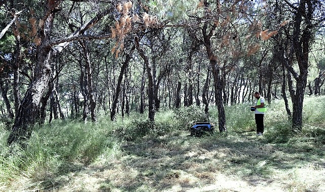 Konak'ta yeşil alanlarda devrim: Robot ot biçme makinesi saatte 5 bin metrekare temizliyor