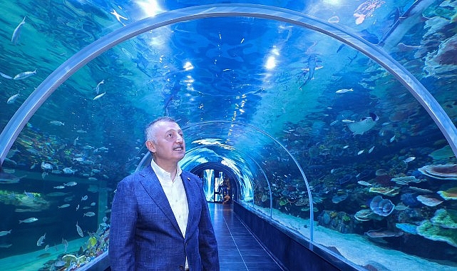 Körfez Aqua Kıtalar Akvaryumu 20 Haziran'da Kapılarını Açıyor: Türkiye'nin İlk Tatlı Su Tüneli