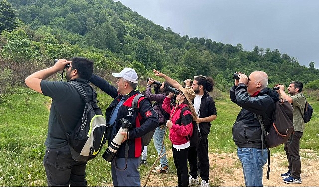 Kuzuyayla'da 109 Tür Kaydedildi: Doğaseverler 'Tür Say' İçin Buluştu