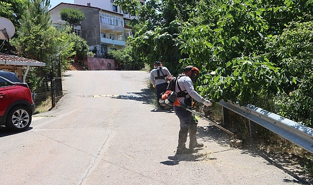 Maltepe'de 8 sokakta çevre düzenlemesi: Yaz bakımı hızlandı