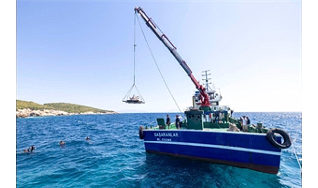 Atık midye kabuklarından üretilen resifler İzmir'de deniz yaşamını canlandıracak
