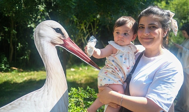 Ormanya'da Minik Leylek Atlas İçin Unutulmaz Doğum Günü Kutlaması