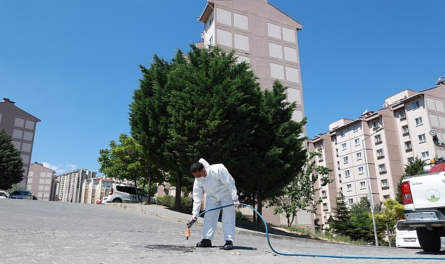 Osmangazi Belediyesi 136 Mahallede Haşere ve Kemirgenlere Karşı İlaçlama Seferberliği Başlattı