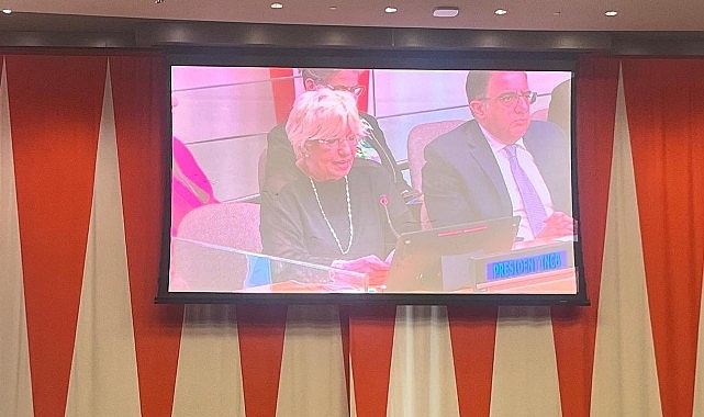 Prof. Dr. Sevil Atasoy BM'de 2025 Uyuşturucu Raporlarını Sundu: Morfine Erişimde Büyük Eşitsizlik