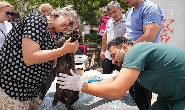 Maltepe'de sokak hayvanlarına yerinde sağlık hizmeti devam ediyor