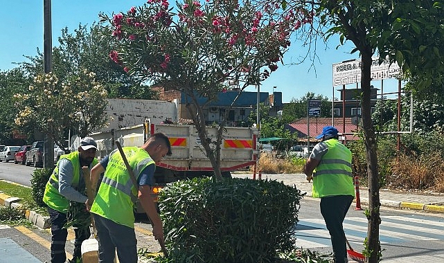 Tepecik Mahallesi Muhtarı'ndan Başkan Çerçioğlu'na Teşekkür: Hizmetler Hız Kesmeden Devam Ediyor