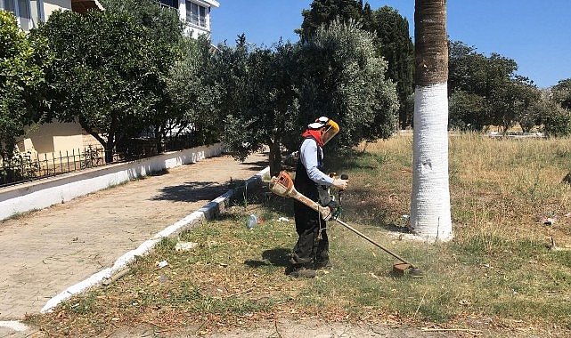 Didim Belediyesi Kendi Ürettiği Çiçeklerle Kent Estetiğini Güçlendiriyor